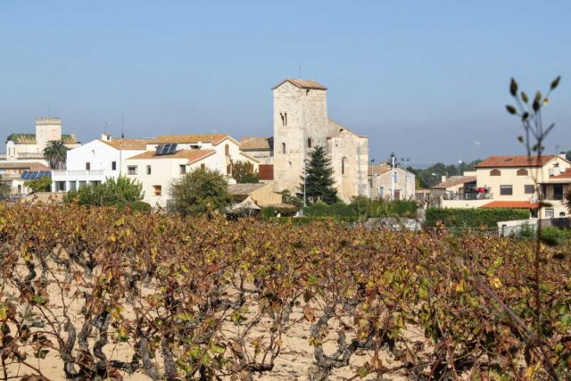 Penedès: wijnranken en dorpjes domineren het landschap