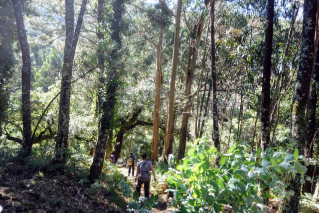 Wandeling door de bossen rond Cerdeira