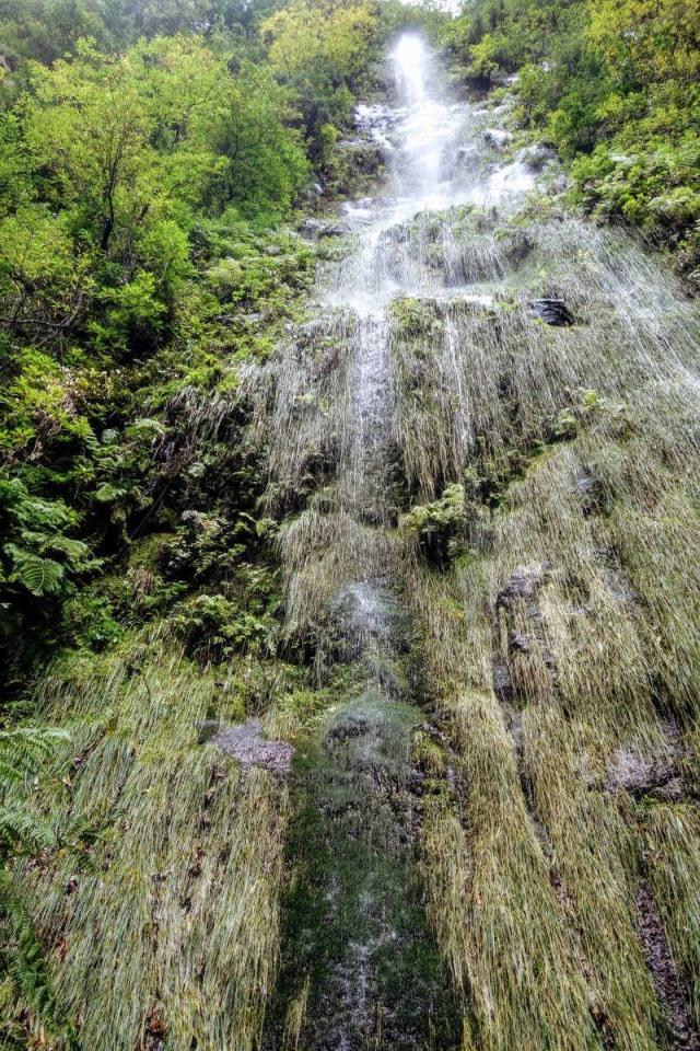 Watervallen: je kunt ze overal tegenkomen op Madeira