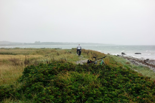 Fietser fietst offroad op de rand van het Deense konijneneiland Endelave. 