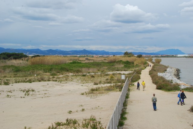 Wandelen in de delta van de Llobregat
