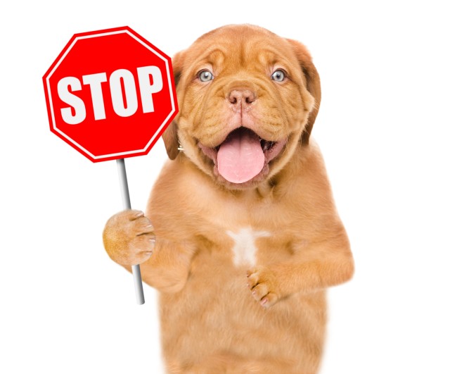Honden met stopteken