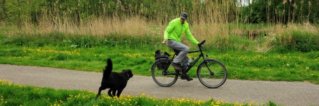 Een aanstormende hond belaagt een nietsvermoedende fietser