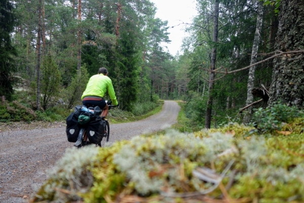 Je doorkruist stille bossen op deze fietsroute.