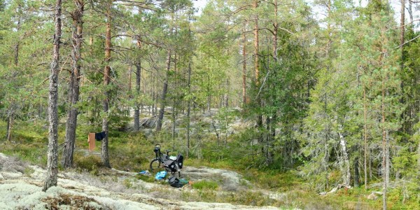Een dagje nietsdoen in het bos op slechts een tiental meter van de South by Cycle-trail