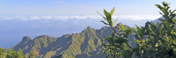 Headerfoto van de Anaga hike op Tenerife, een doorkijkje naar de oceaan