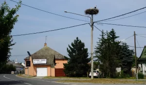 Ooievaarsnesten in Kroatisch dorp