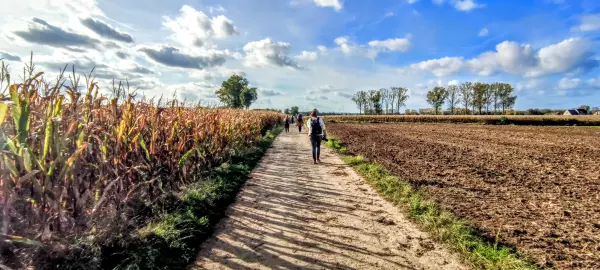 wandelaars op een plattelandspad in Belgisch Limburg