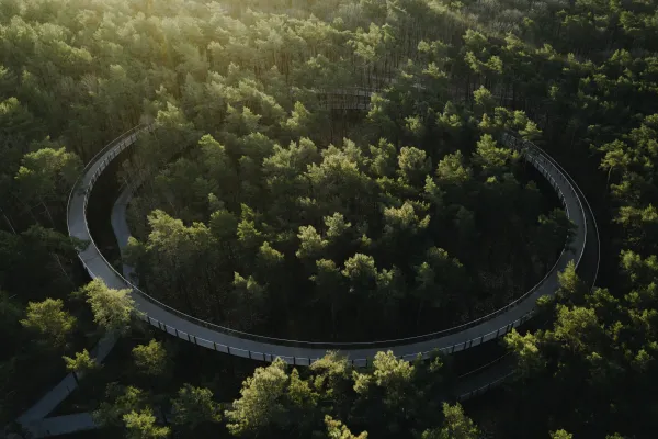 Het project Fietsen door de Bomen