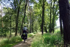 Fietser op de Kempen icoonfietsroute