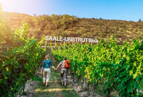 Wandelen in Saale-Unstrut langs de wijngaarden via de Bad Kösen Weinbergsweg