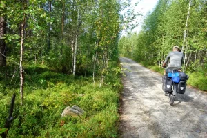 Gravellen door Fins Lapland, door eindeloze bossen