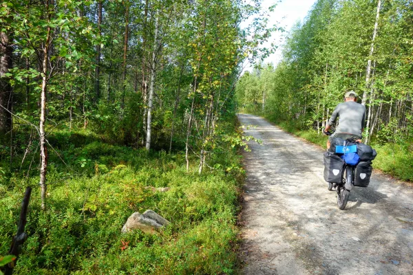 Gravellen door Fins Lapland, door eindeloze bossen