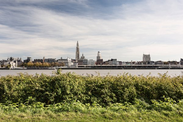 Skyline van Antwerpen