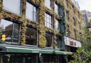 Het gras groeit aan de muren van PAKT in Antwerpen