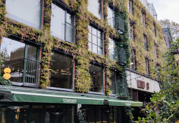 Het gras groeit aan de muren van PAKT in Antwerpen