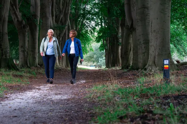 Twee wandelaars op het Drenthepad , lopend door een bos