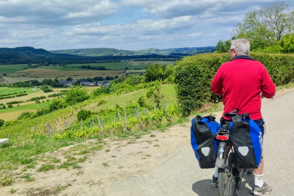 Uitzicht over de wijngaarden langs de EuroVelo 5