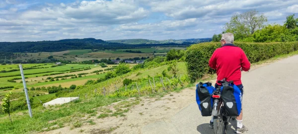 Panorama over de Luxemburgse wijngaarden
