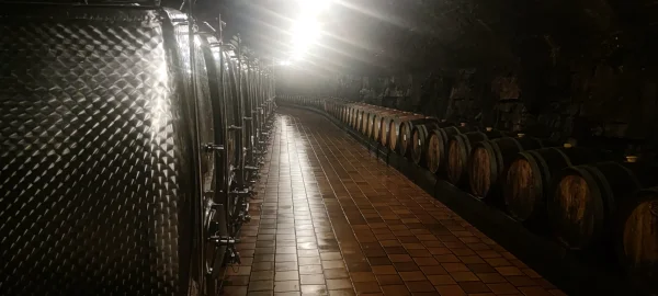Wijnvaten in de Caves Saint Martin in Remich, de Parel van de Moezel 