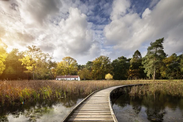 Een vlonderpad door natuurgebied De Weijers in Belgisch Limburg